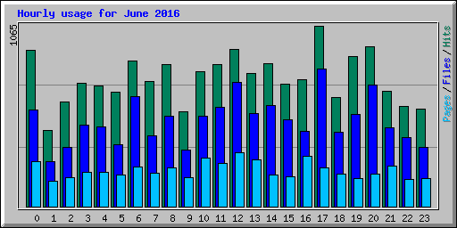 Hourly usage for June 2016